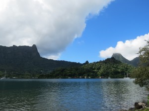 IMG_6687