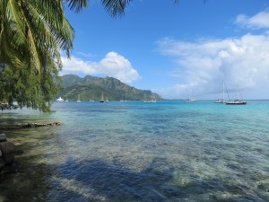 IMG_6702