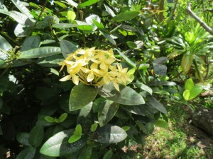 IMG_6721