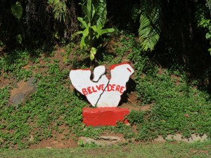 IMG_6756