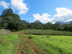 IMG_6780