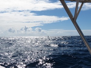 IMG_6862