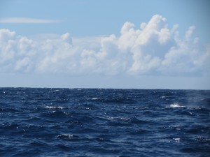 IMG_7483