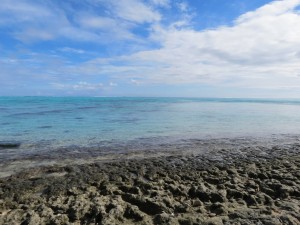 IMG_7618