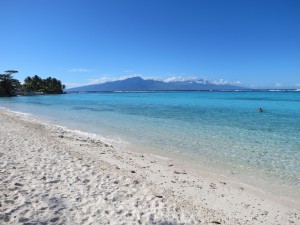 IMG_7627