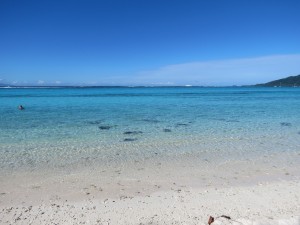 IMG_7628