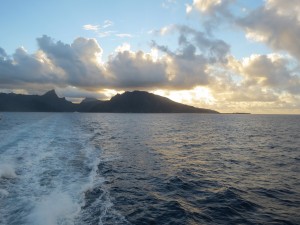 IMG_7645