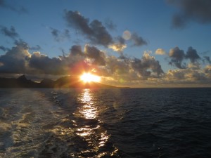 IMG_7652
