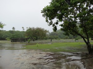 IMG_5827