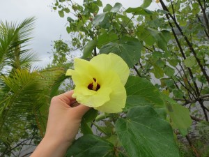 IMG_5853