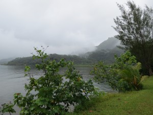 IMG_5857