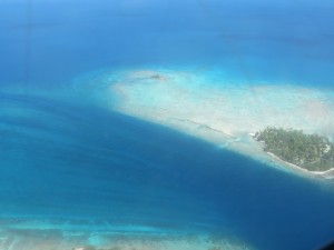 IMG_6331