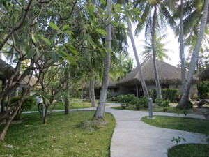 IMG_6347