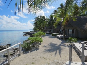 IMG_6351