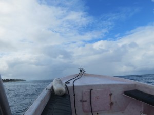 IMG_6428