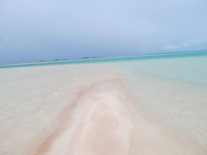 IMG_6447