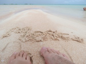IMG_6453
