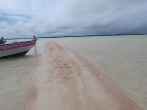 IMG_6462