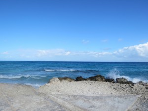IMG_6507