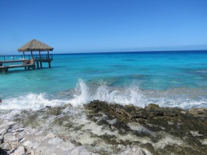 IMG_6539