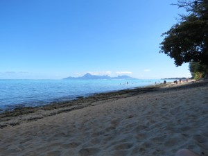 IMG_5374