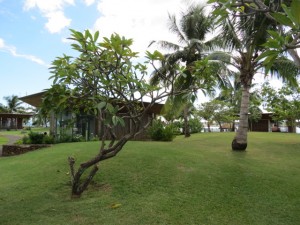 IMG_5402