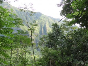 IMG_5516