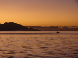 IMG_5549