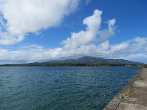 IMG_5593